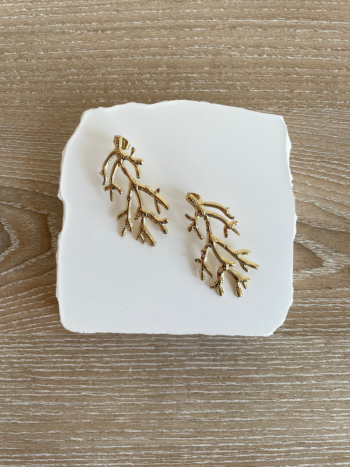 Wild Branch